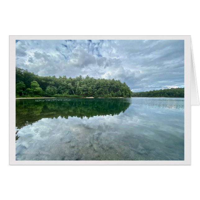*Walden Pond: Bluebird lleva el cielo en su espald (Anverso (Horizontal))