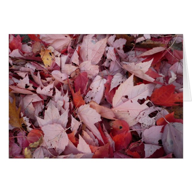 Walden Pond Leaves (Anverso (Horizontal))
