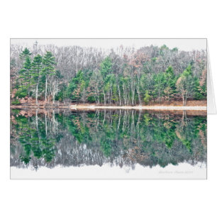 Walden Pond: Percibiendo belleza con un minuto de