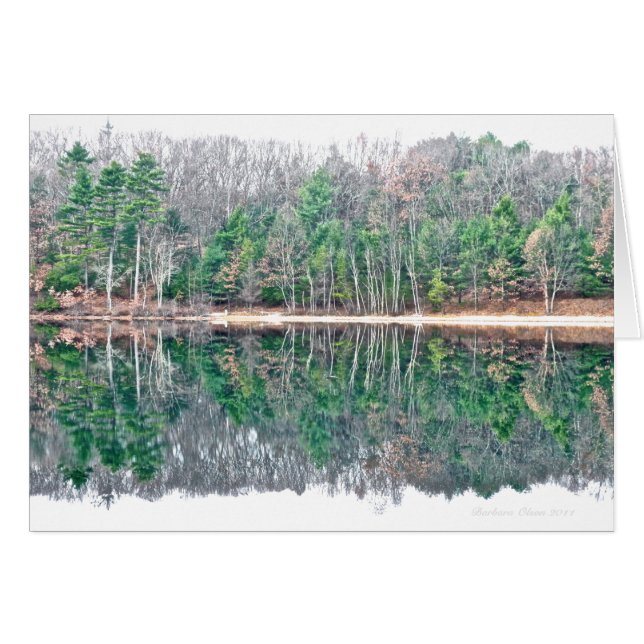 Walden Pond: Percibiendo belleza con un minuto de  (Anverso (Horizontal))