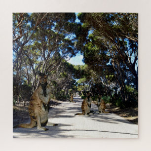 Wallaby australiano en carretera, rompecabezas