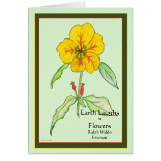 Wallflower