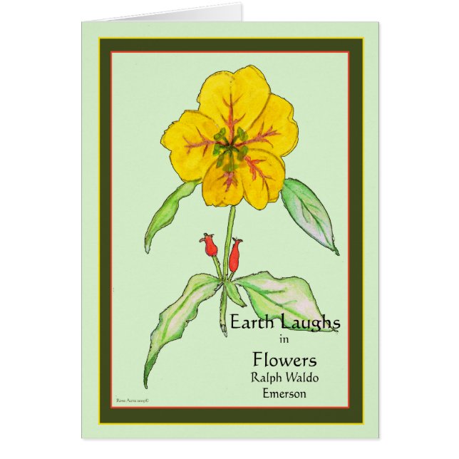 Wallflower (Frente)