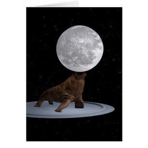 Walrus Balanceando La Luna