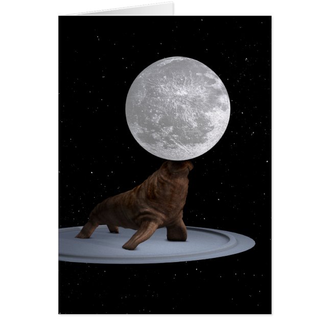 Walrus Balanceando La Luna (Frente)