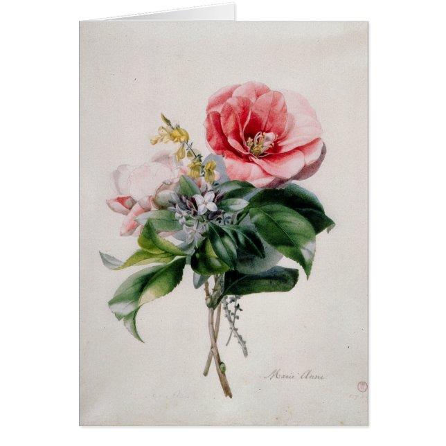 wamellia y escoba (Frente)