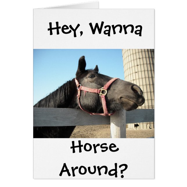 Wanna Horse Around (Frente)