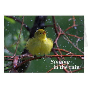 Warbler