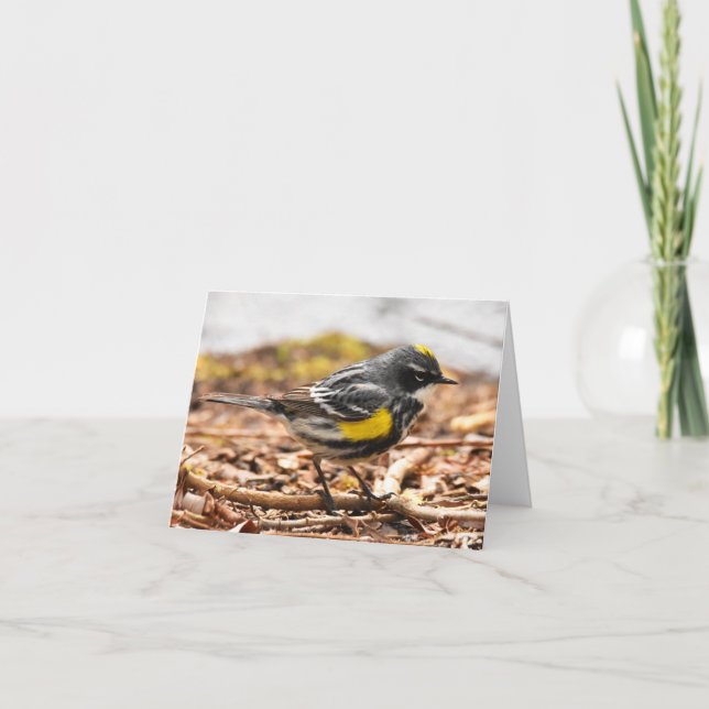 Warbler de Rumped Amarillo #1 - Tarjeta de nota en (Anverso)