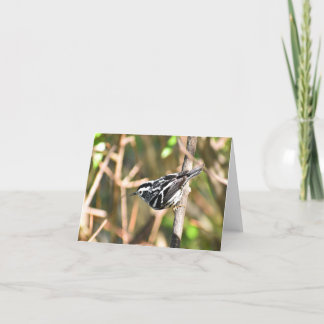 Warbler en blanco y negro #1 - Tarjeta de nota en 