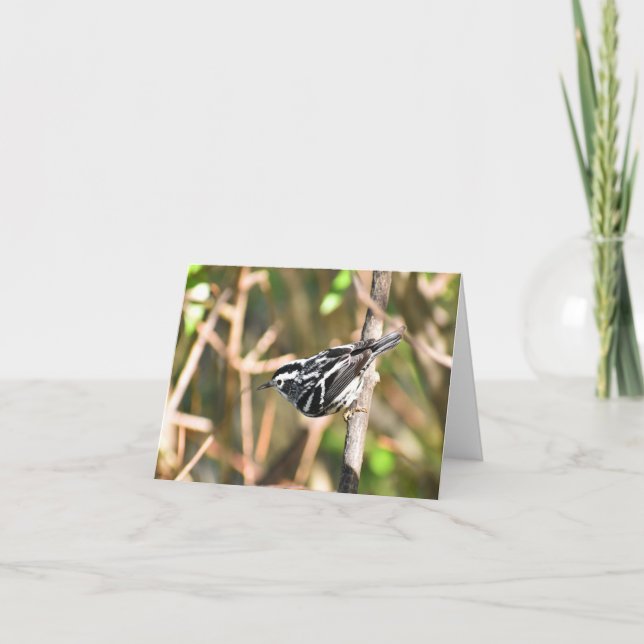 Warbler en blanco y negro #1 - Tarjeta de nota en  (Anverso)