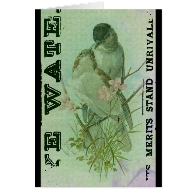 Warbler Vintage (Frente)