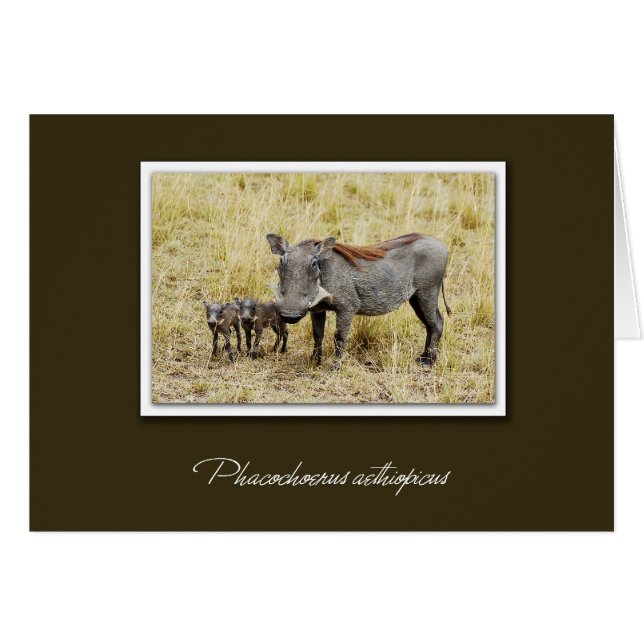 Warthog con lechones tarjetas de safari (Anverso (Horizontal))