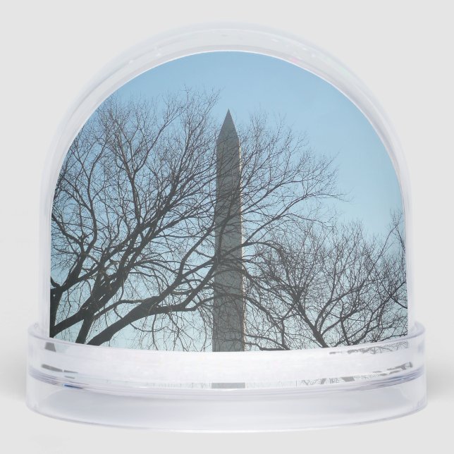 Washington Monument in Winter I Landscape (Anverso)