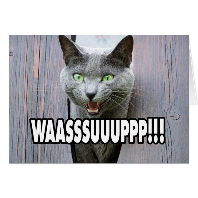 WASSUP - Gato Meme (Anverso (Horizontal))