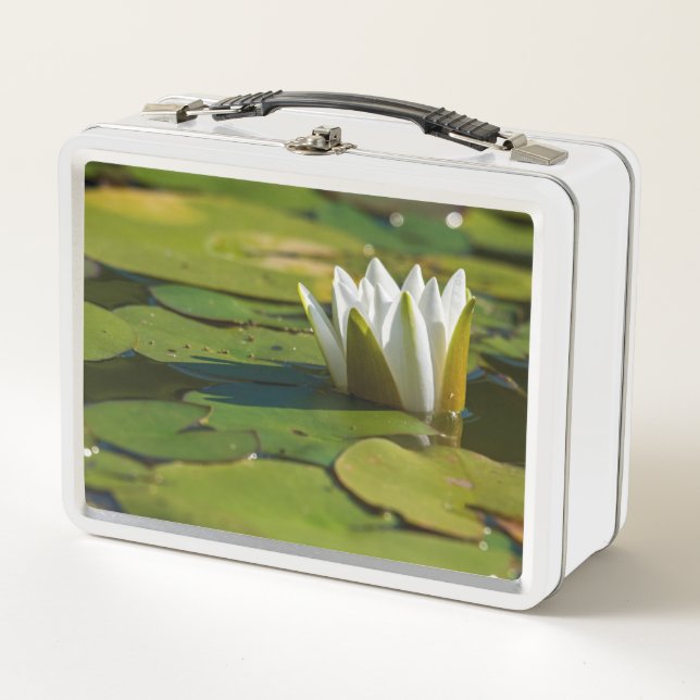 Water Lily Blossom (Anverso)