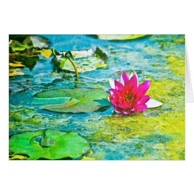 Water Lily Lilypad (Anverso (Horizontal))