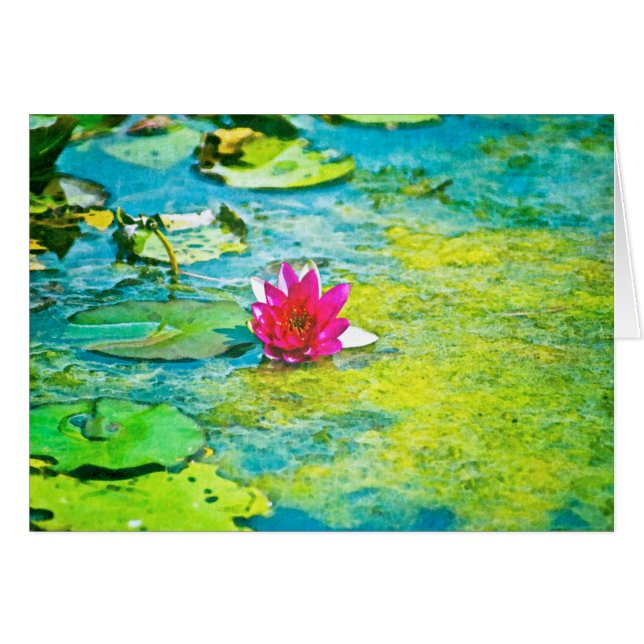Water Lily Lilypad (Anverso (Horizontal))