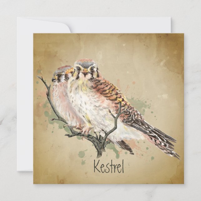Watercolor Kestrel Falcon Arte de aves silvestres (Anverso)