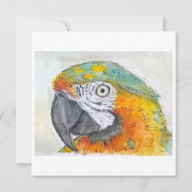 Watercolor of Parrot on Flat Card (Anverso)