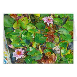 "Waterlilies de Kathy "
