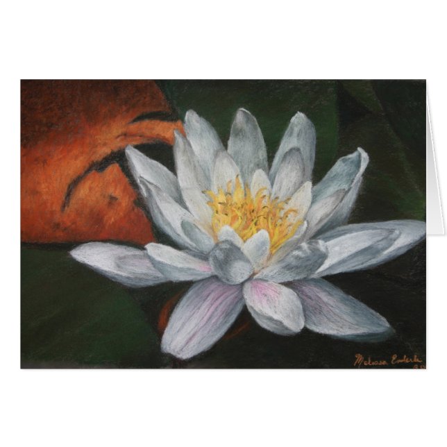 Waterlilly con el cojín muerto (Anverso (Horizontal))