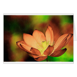 Waterlily en aceite
