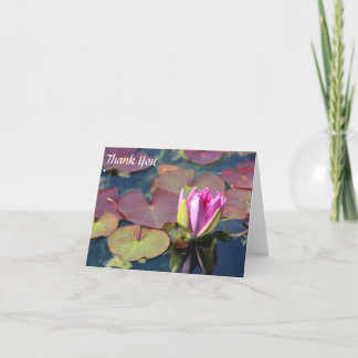 Waterlily Gracias Nota