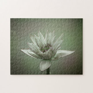 Waterlily green tone puzzle