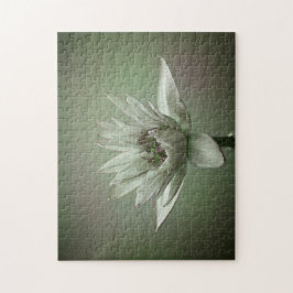 Waterlily green tone puzzle