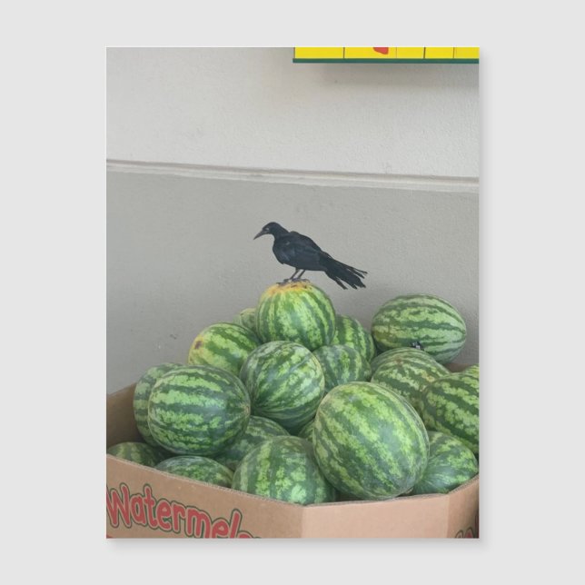 Watermelon Bird Magnet (Anverso)