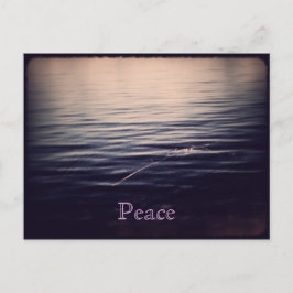 WaterPeace 1 postal 1
