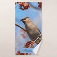 Waxwing bohemio, fondo del cielo