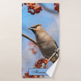 Waxwing bohemio, fondo del cielo