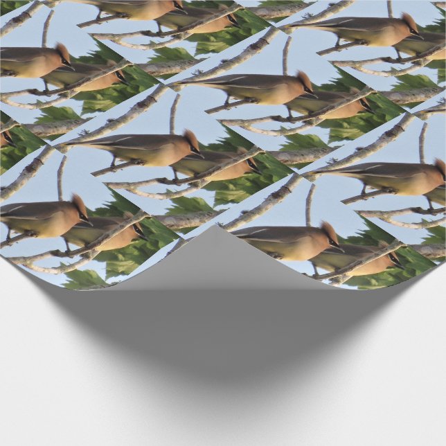Waxwing Cedar - Rollo de papel para envolver aves  (Esquina)
