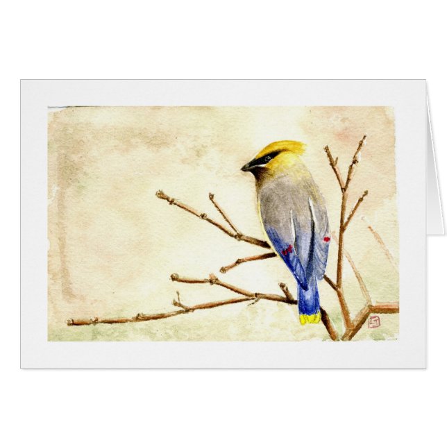 Waxwing de cedro (Anverso (Horizontal))