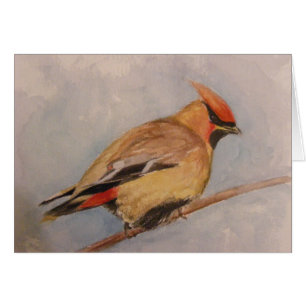 Waxwing de cedro