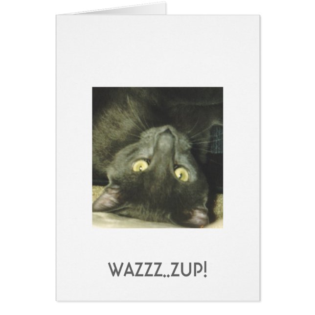 ¡WAZZZ. .ZUP! (Frente)