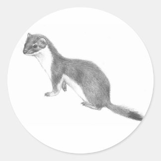 Weasel pegatina