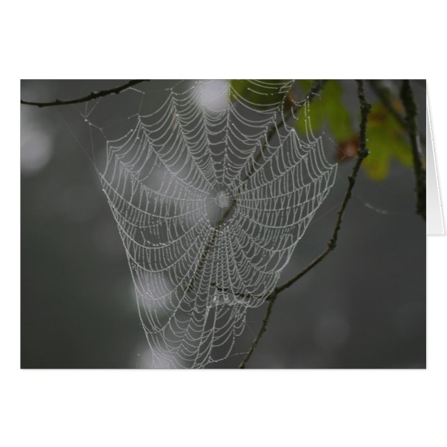 WEB (Anverso (Horizontal))