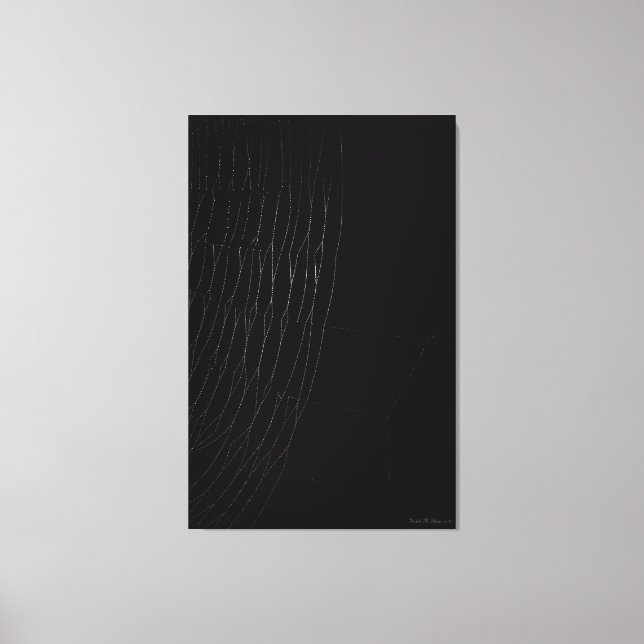 Web blanca con imagen de lienzo negro (Anverso)