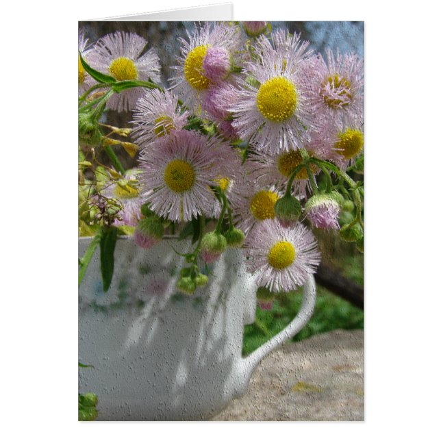 Weeds de bonito (Frente)