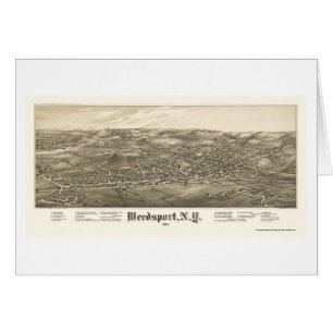 Weedsport, mapa panorámico de NY - 1885