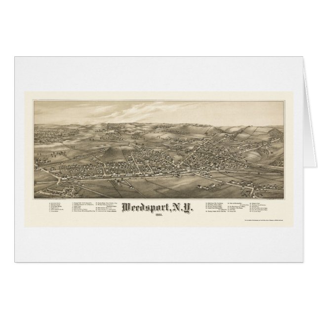 Weedsport, mapa panorámico de NY - 1885 (Anverso (Horizontal))