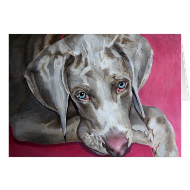 Weimaraner (Anverso (Horizontal))