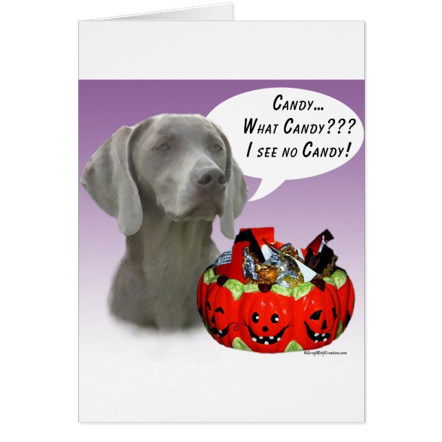 Weimaraner Halloween Candy (Frente)