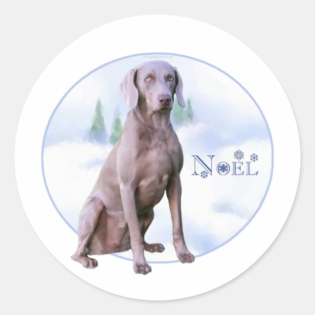 Weimaraner Noel - Pegatina (Anverso)