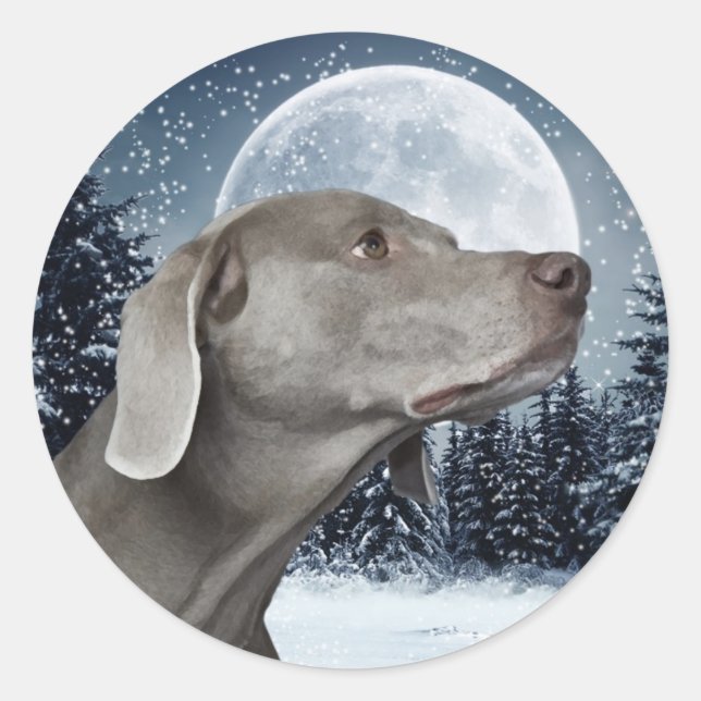 Weimaraner Pegatina (Anverso)