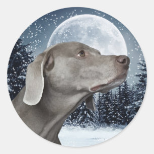 Weimaraner Pegatina