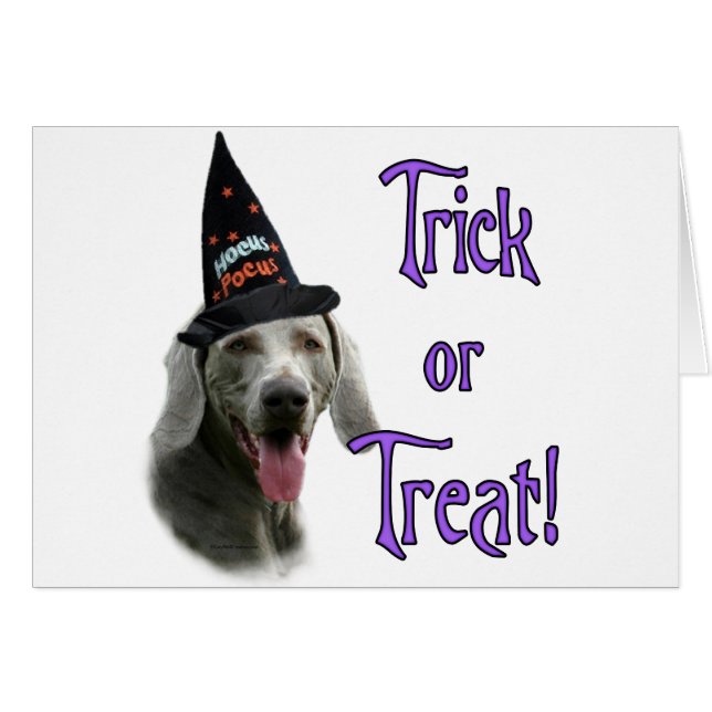 Weimaraner Trick (Anverso (Horizontal))